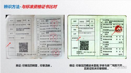 山西全球貨運從業(yè)資格證山西全球貨運從業(yè)資格證在哪里辦